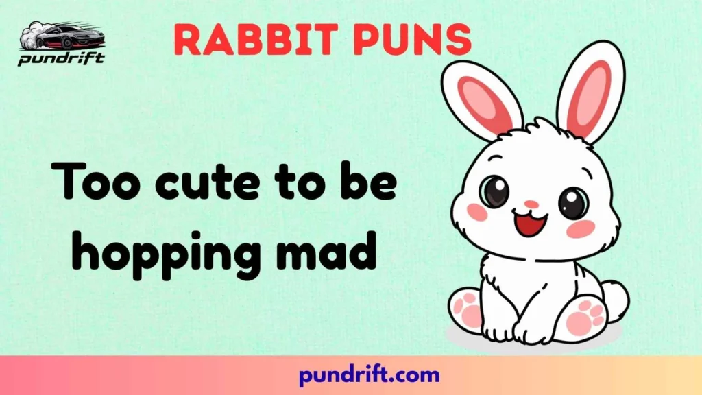 Clever Captions for Instagram & Social Media