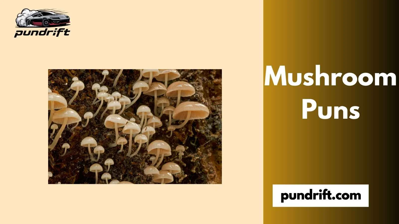 Mushroom Puns