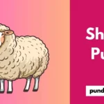 Sheep Puns