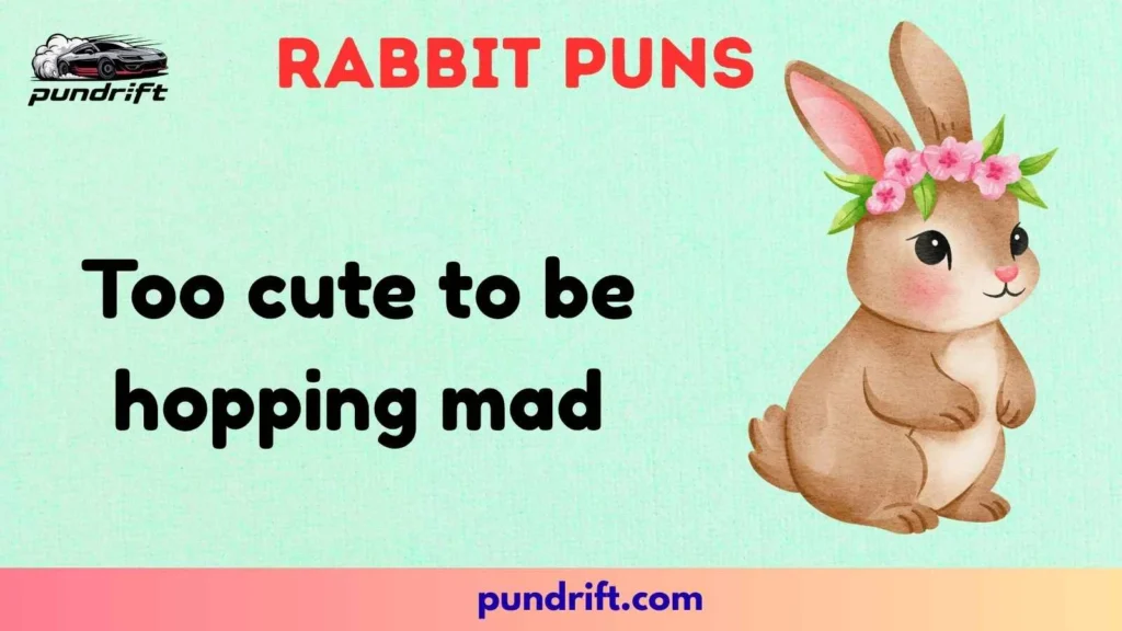Themed Rabbit Humor