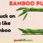 Bamboo Puns