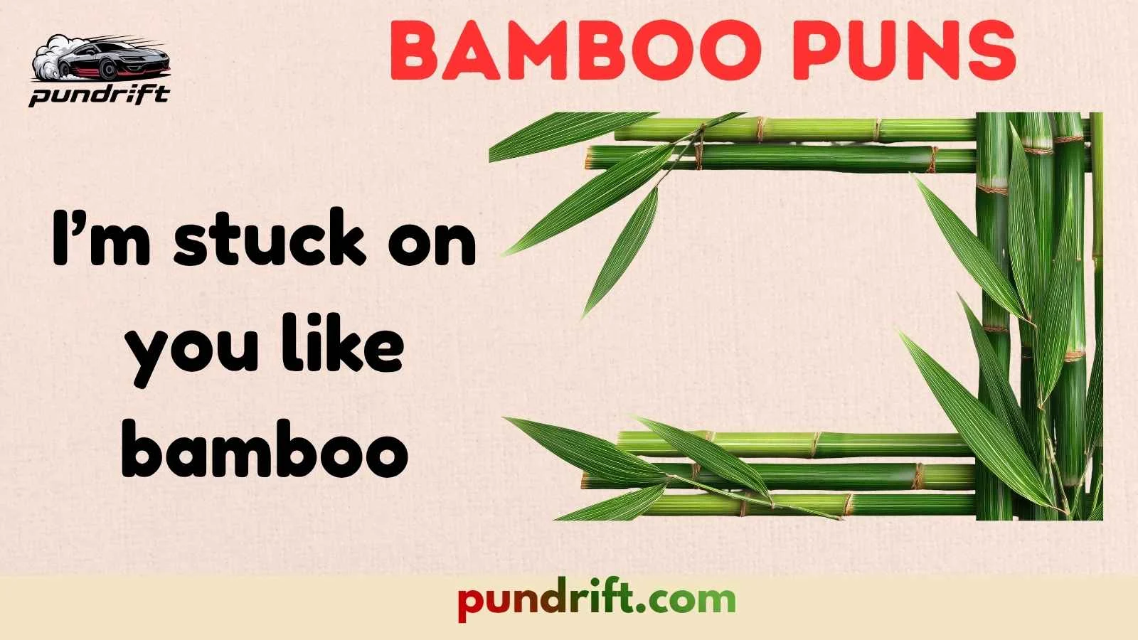 Bamboo Puns
