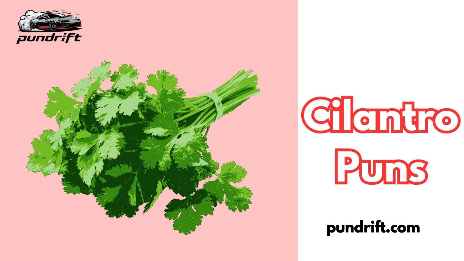 Cilantro Puns
