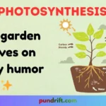 Photosynthesis Puns