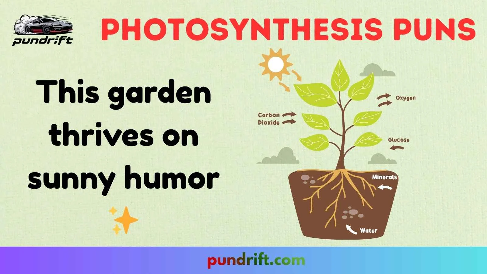 Photosynthesis Puns