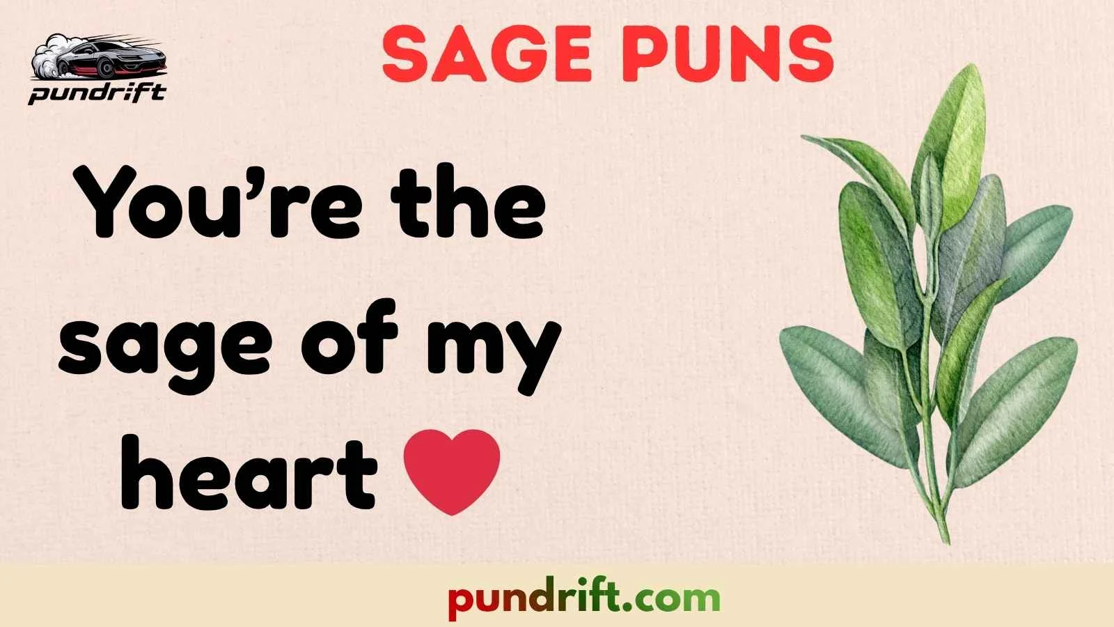 Sage Puns