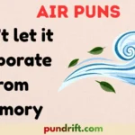 Air Puns