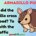 Armadillo Puns