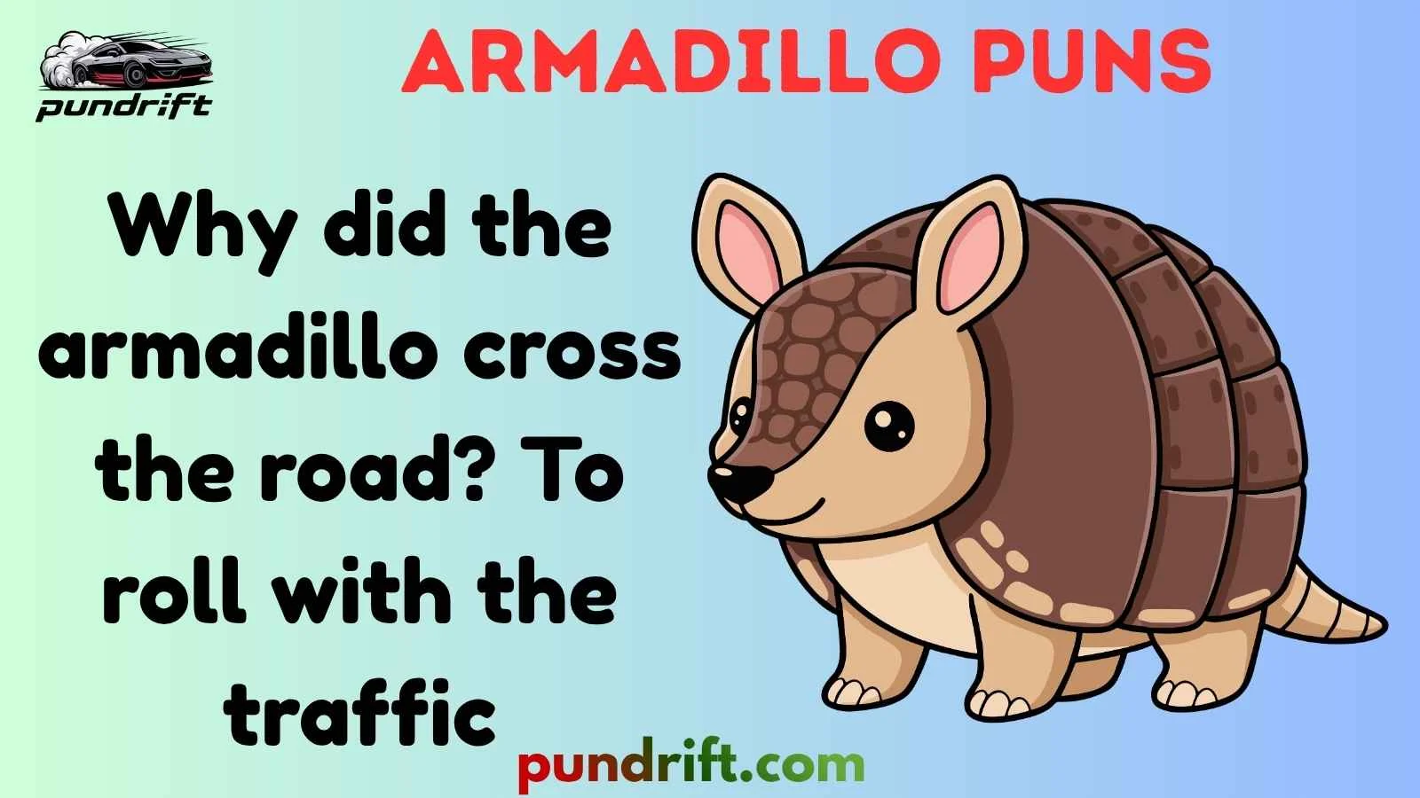 Armadillo Puns