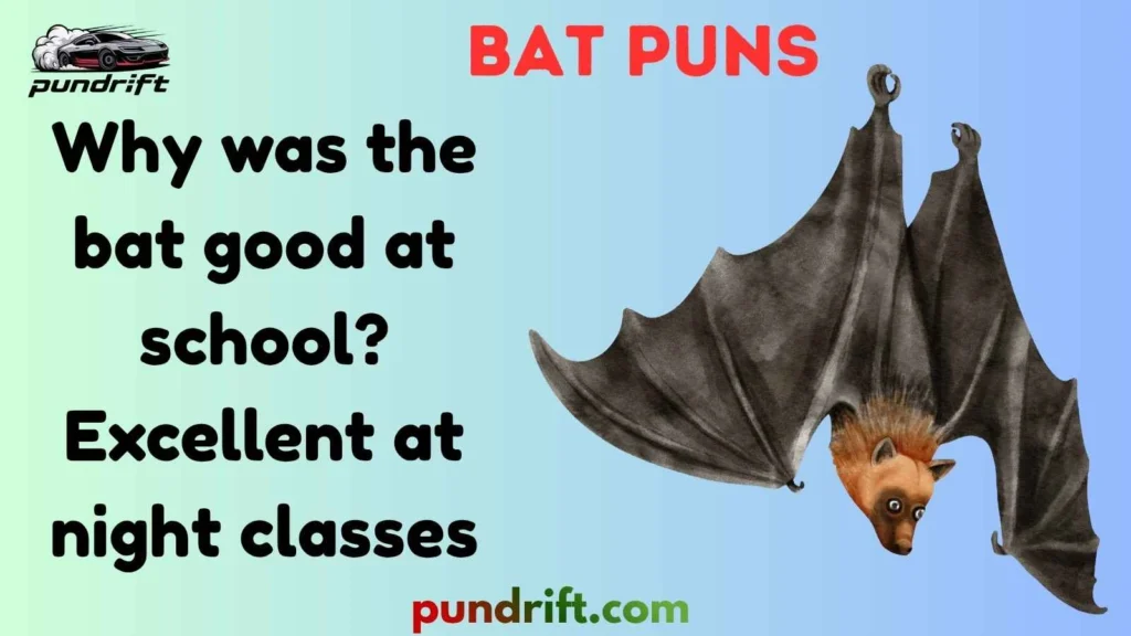 Bat Captions for Instagram