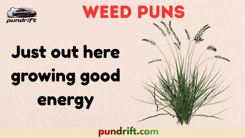 Chill Weed Puns for Relaxed Vibes