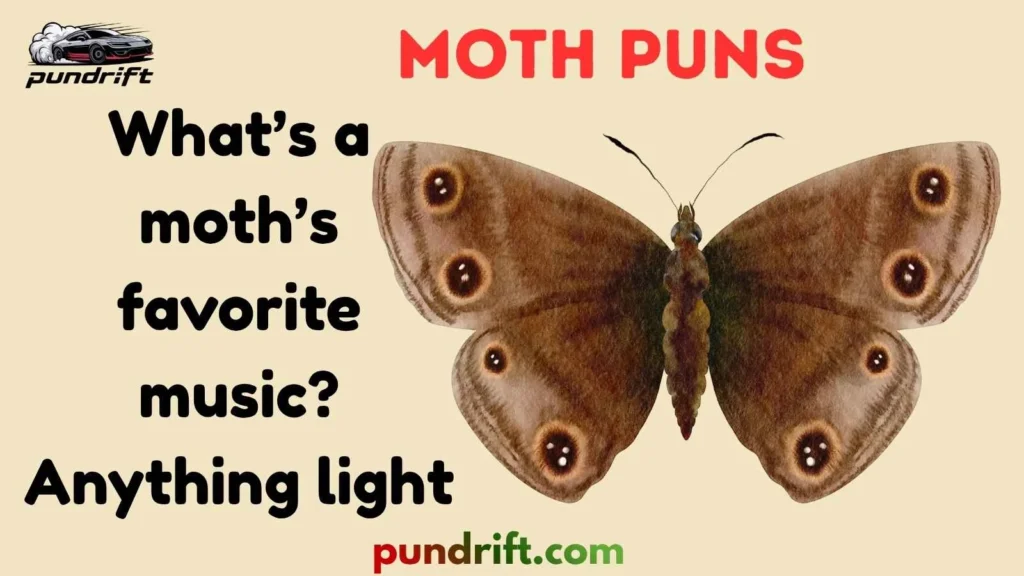 Clever Moth Puns for Texts & Chats
