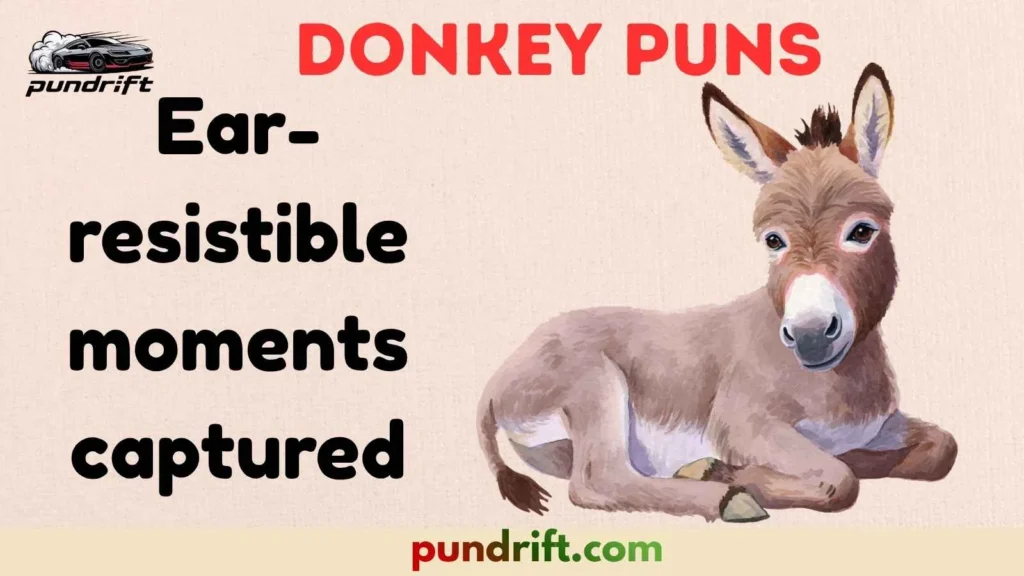 Donkey Puns for Social Media Captions