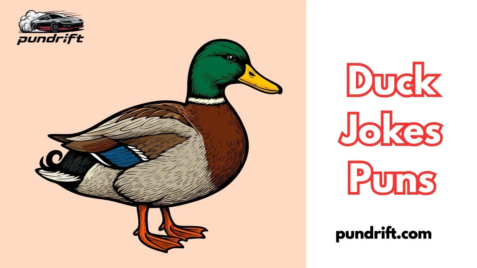Duck Jokes Puns