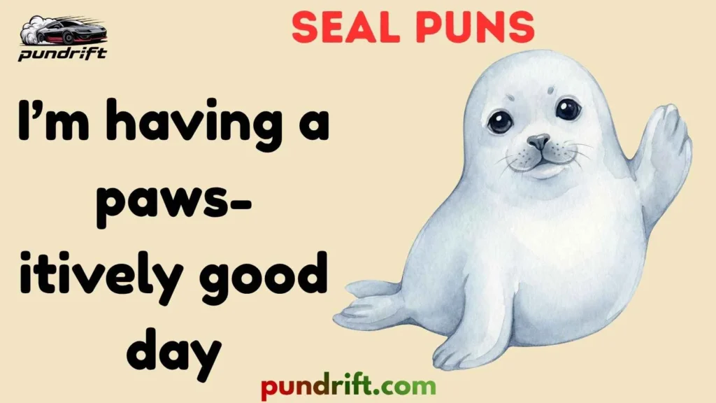 Educational Seal Puns