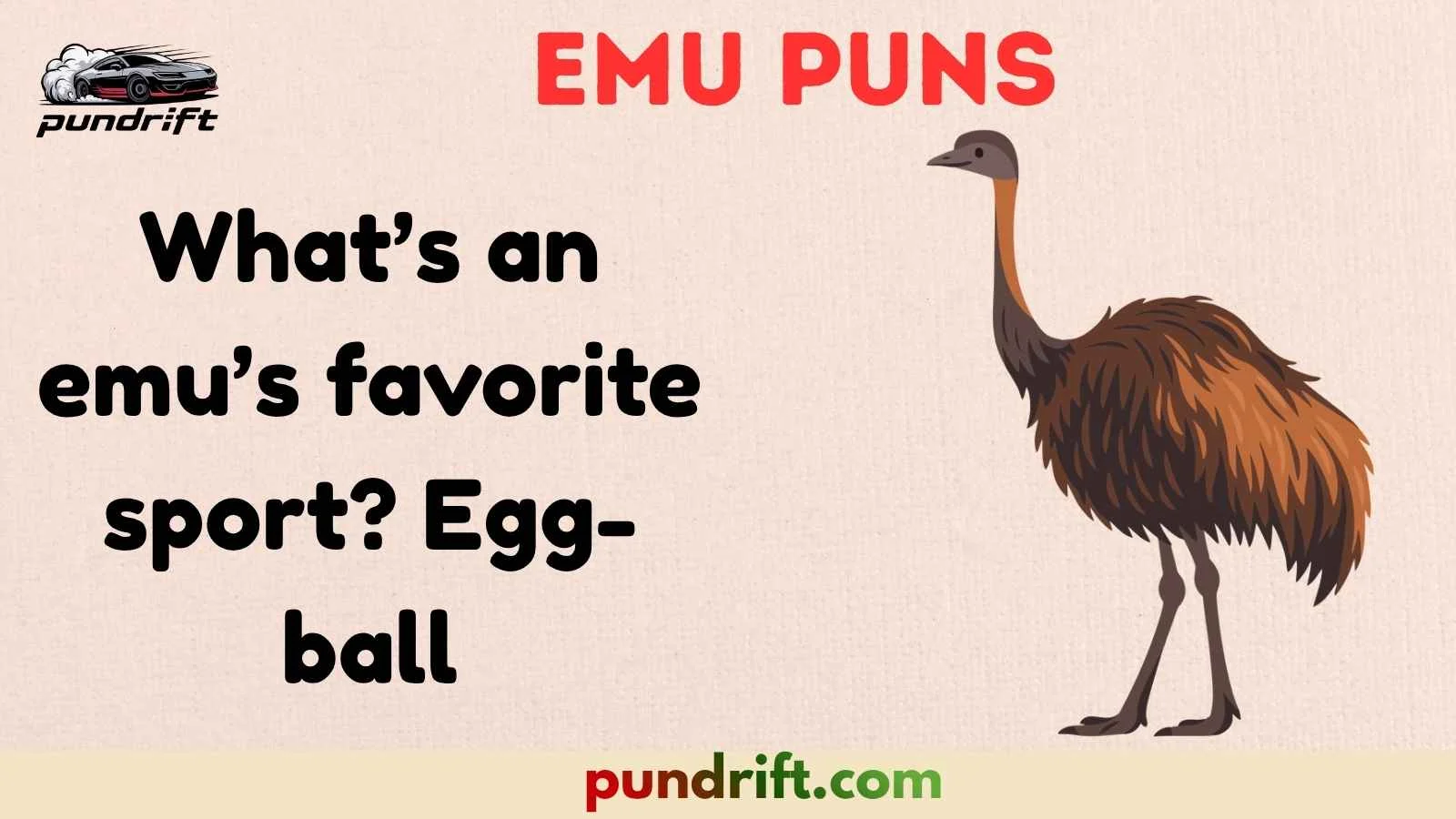 Emu Puns