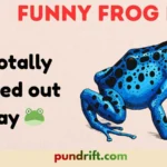 Funny Frog Puns
