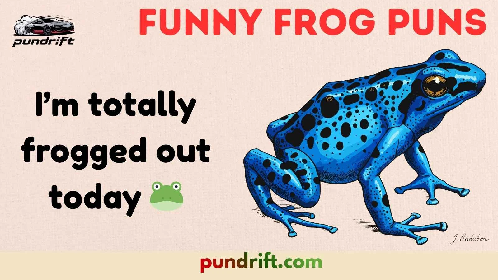 Funny Frog Puns