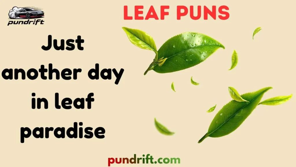 Funny Leaf Captions for Instagram