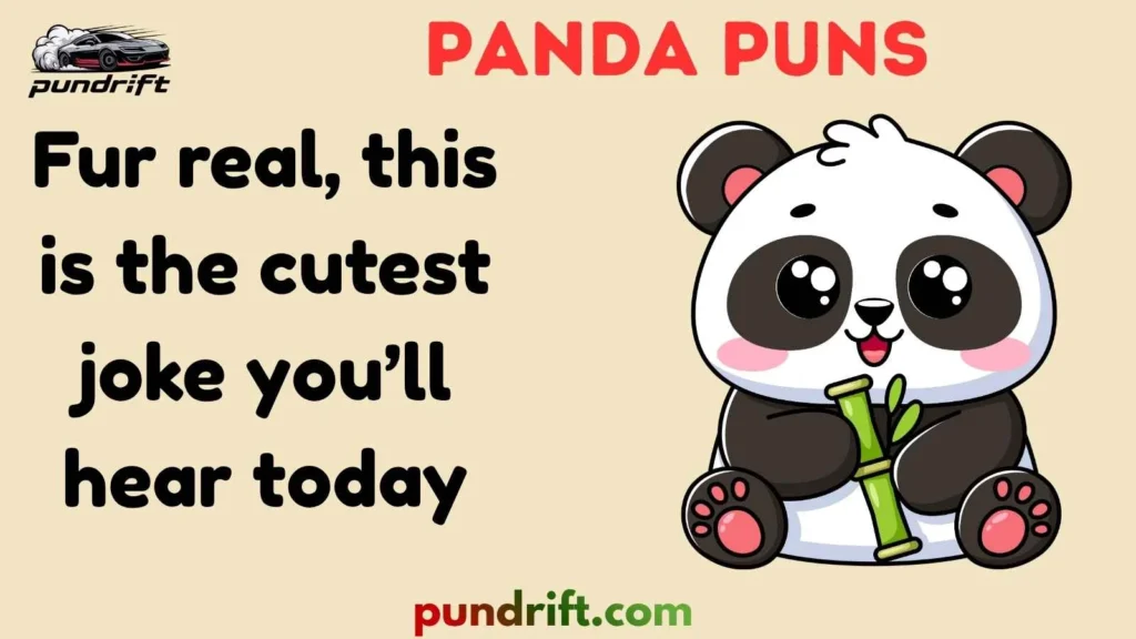 Funny Panda Captions for Instagram