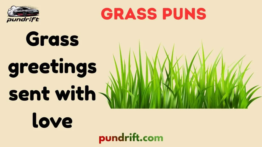 Grass Puns for Captions and Social Media
