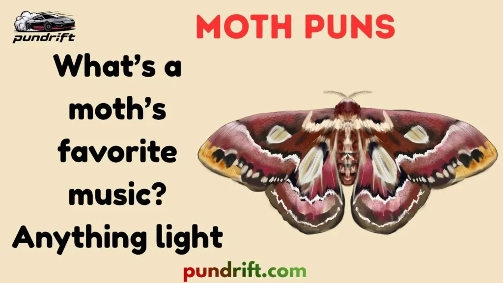 Moth Captions for Instagram
