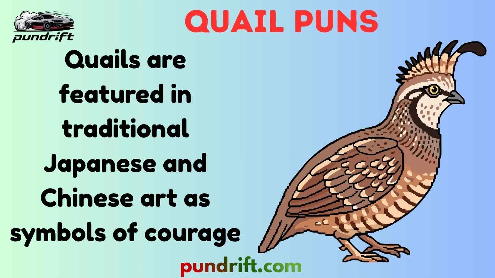Quail Puns