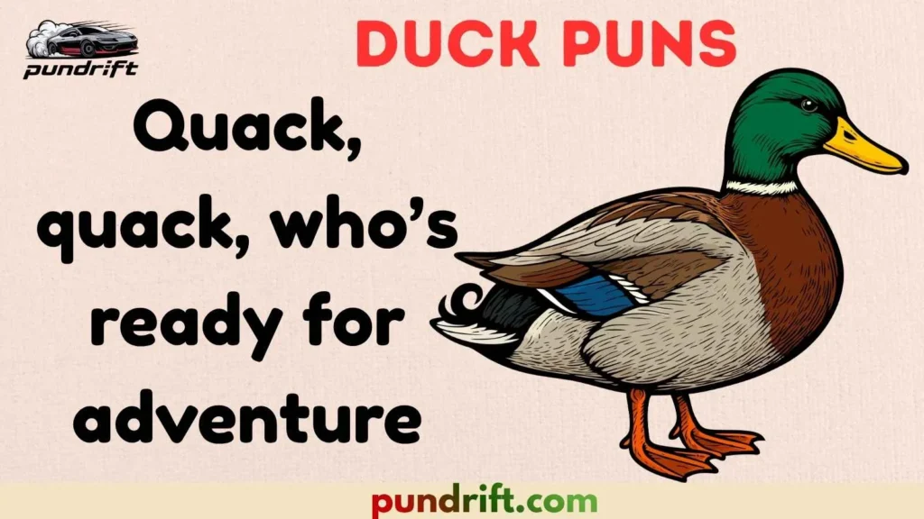 Quirky Duck Captions for Instagram