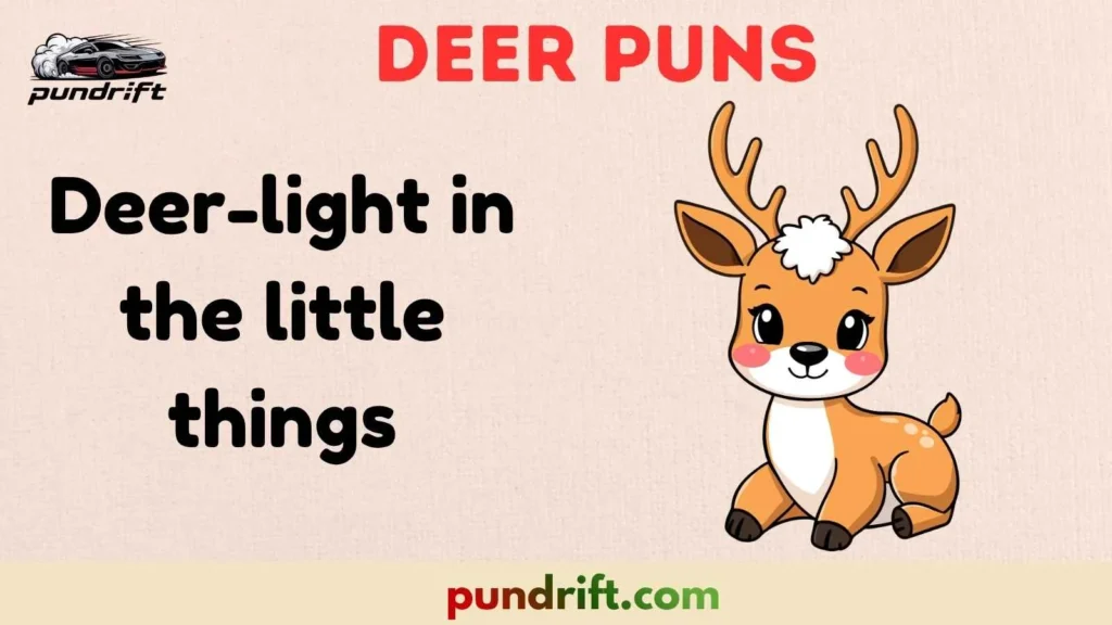 Random Fun Deer Puns