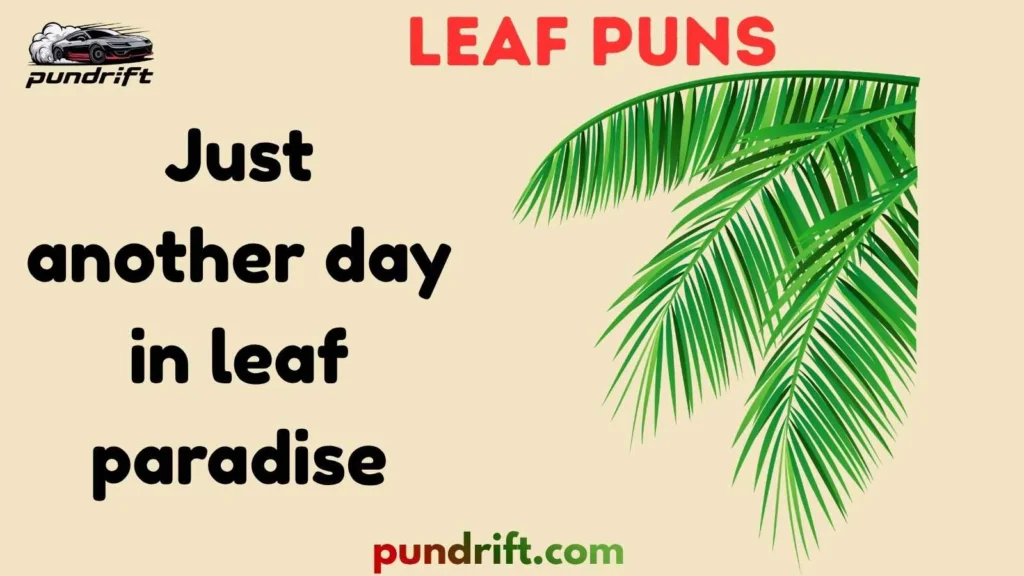 Random Fun Leaf Puns