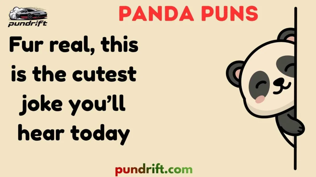 Random Fun Panda Puns