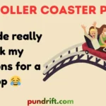 Roller Coaster Puns
