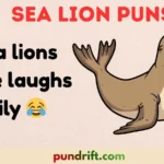 Sea Lion Puns