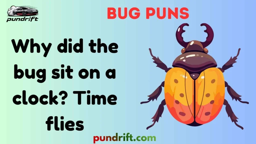 Short Bug Puns for Instagram