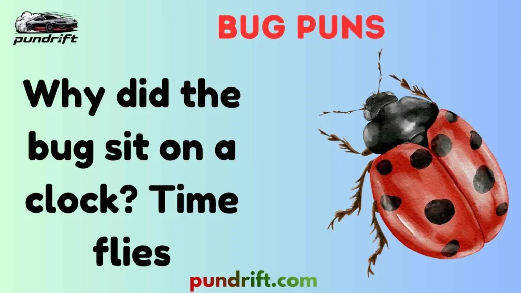 Silly Bug Puns