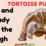 Tortoise Puns