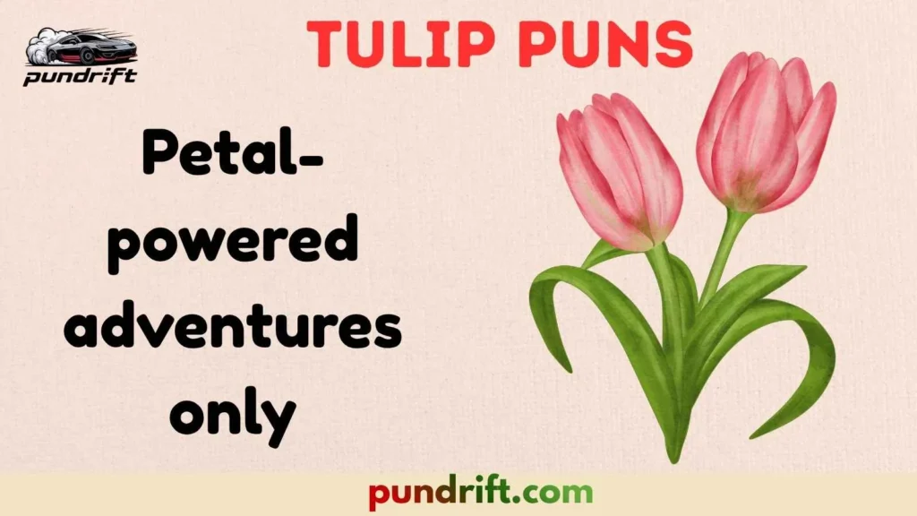 Tulip Captions for Instagram