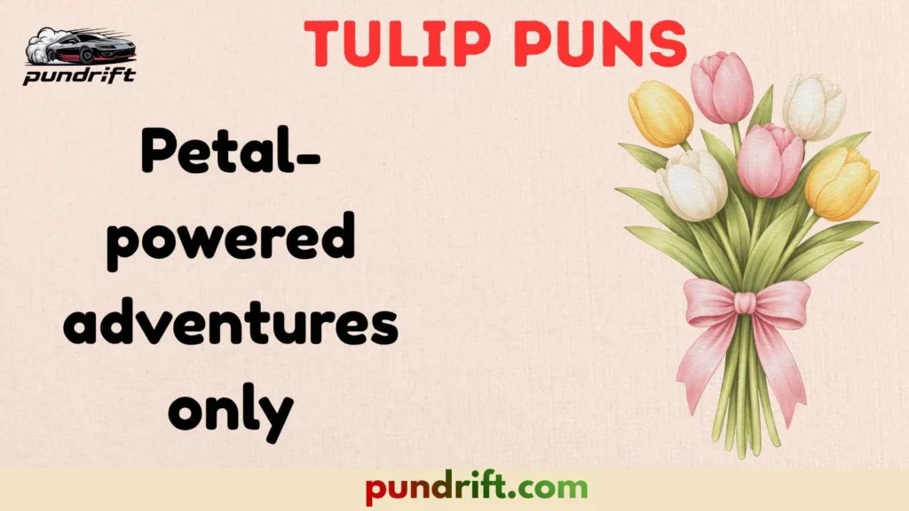 Tulip Mood Boosters