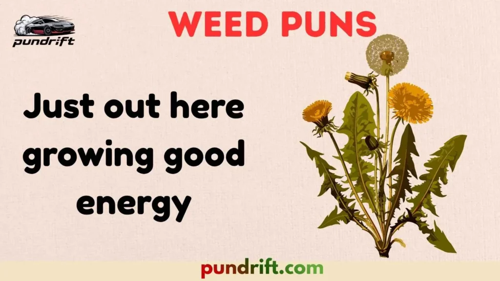 Weed Puns for Social Media Captions