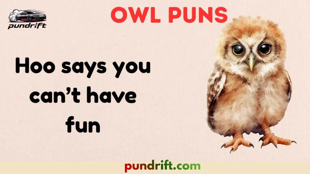 Owl Puns for Social Media Captions