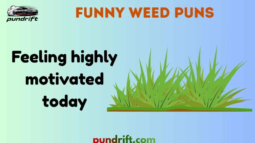 Clean Weed Dad Puns