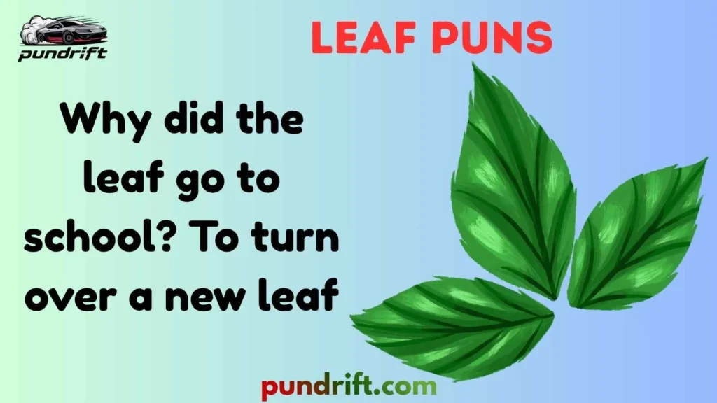 Funny Fall Leaf Puns