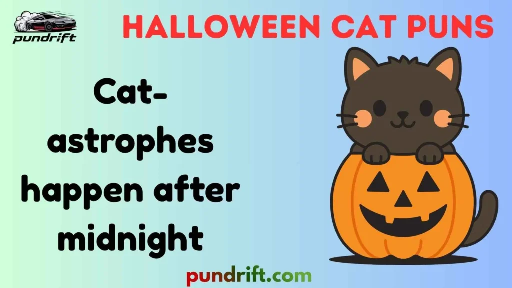 Funny halloween cat puns