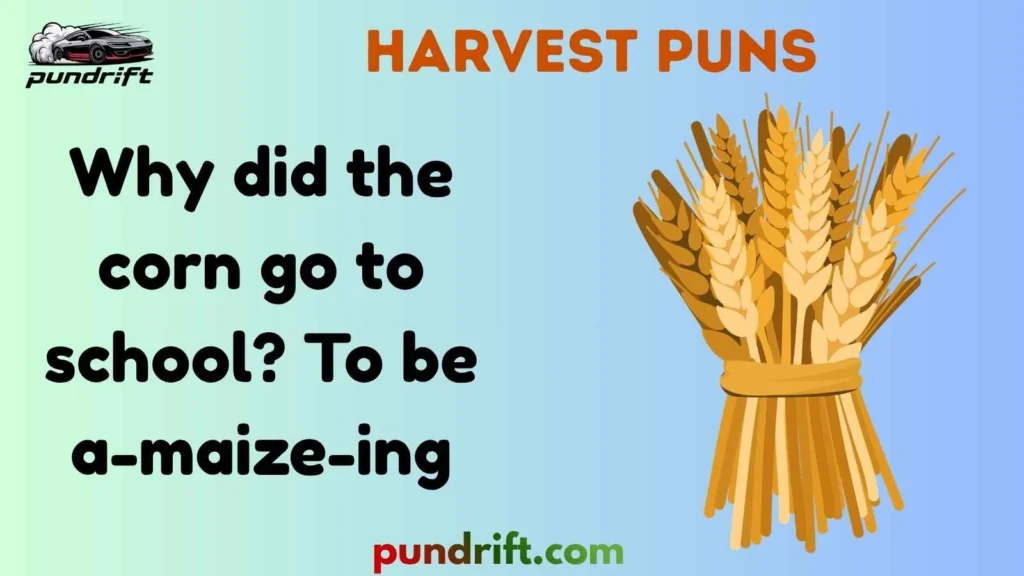 Funny Harvest Puns