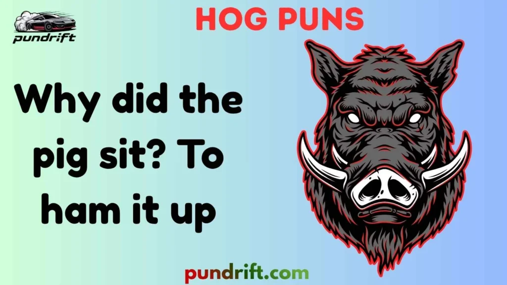 Funny Hog Puns