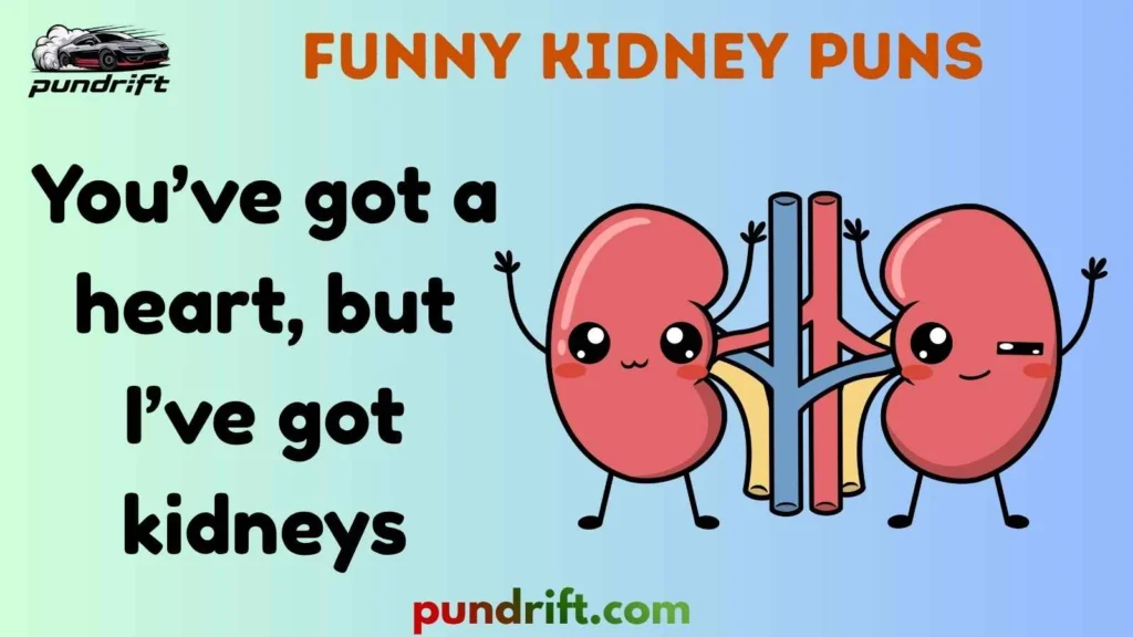 Funny Kidney Puns