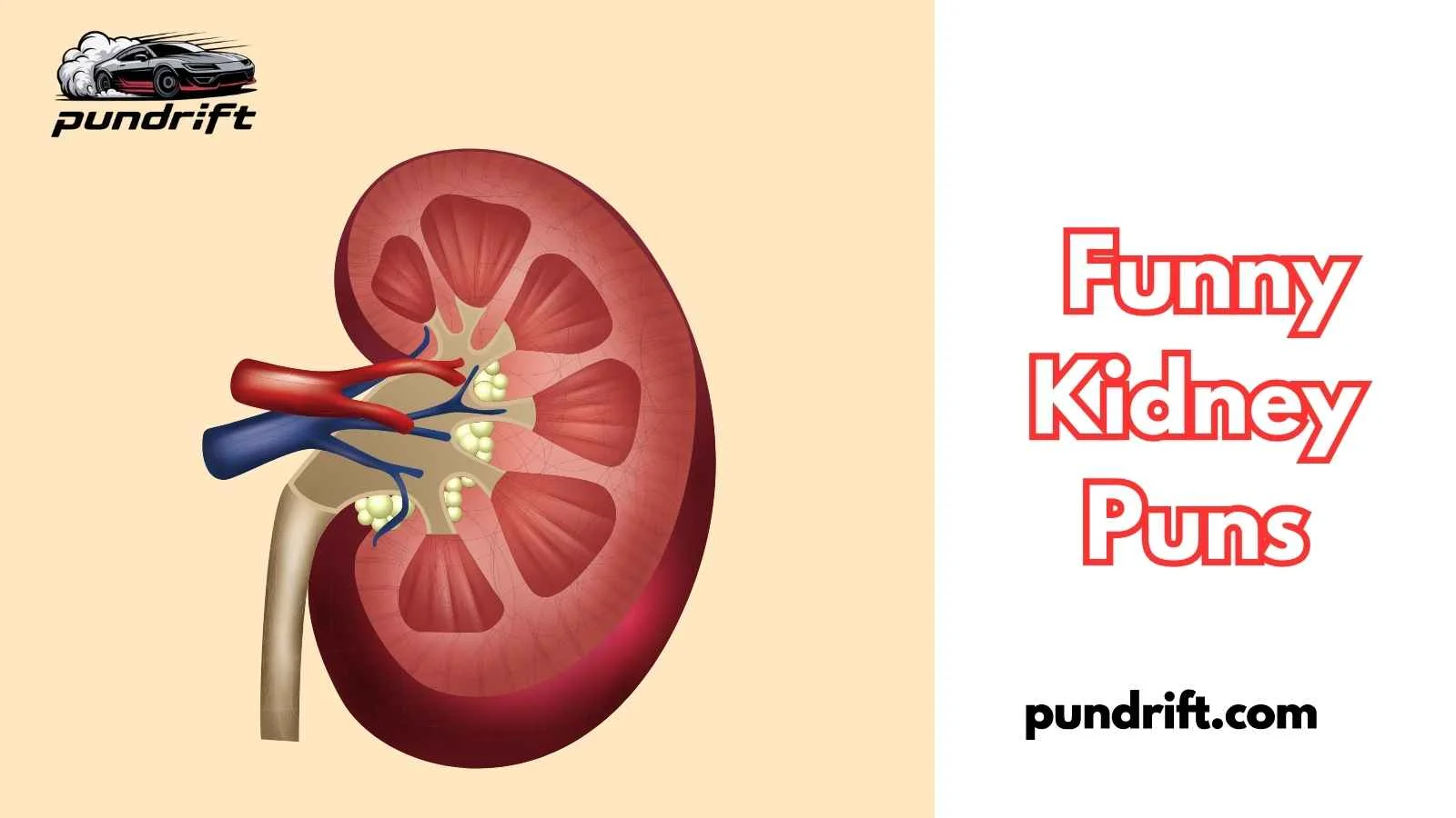 Funny Kidney Puns