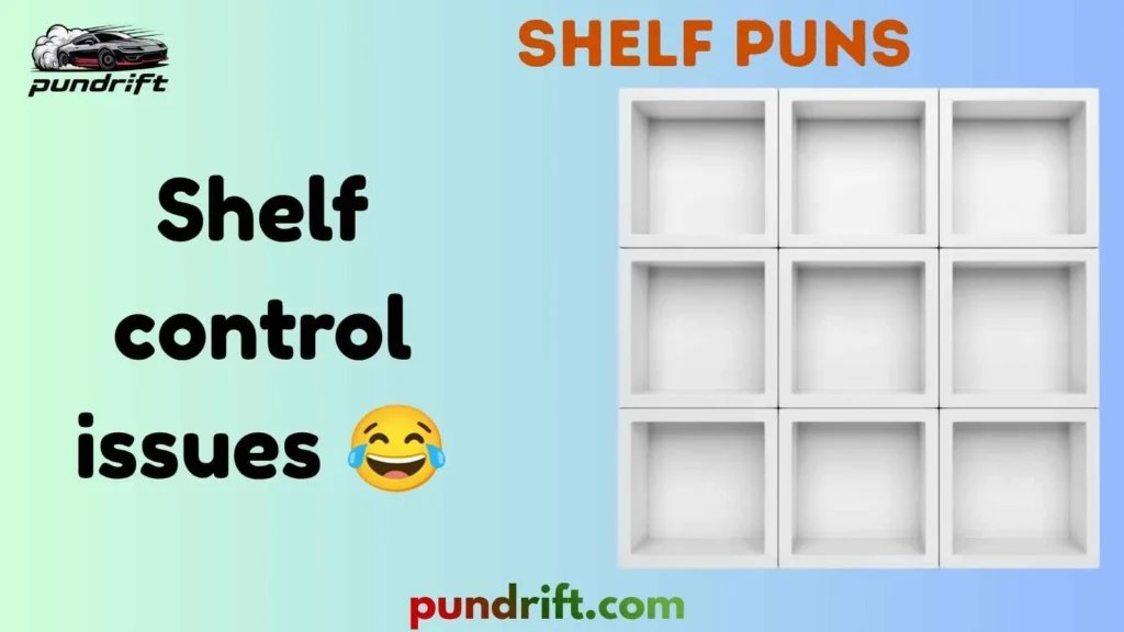 Funny Shelf Puns