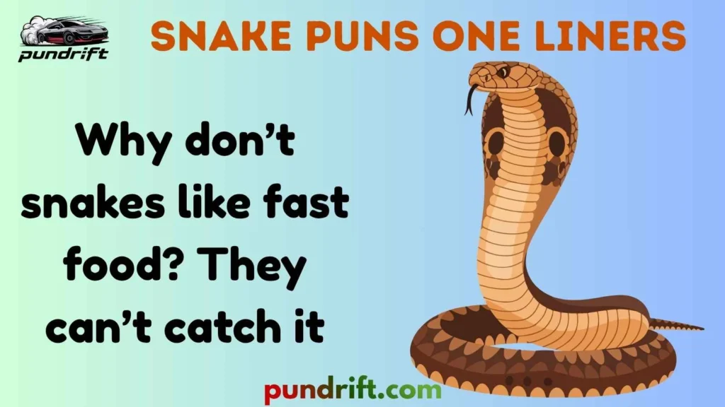 Funny Snake Puns