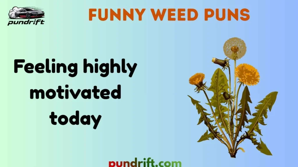 Funny Weed Puns